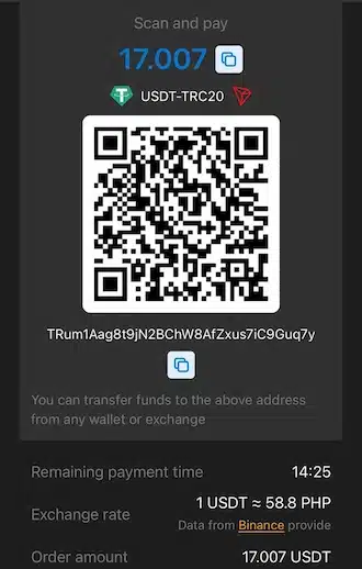 Step 3: Make the payment via the QR code or beneficiary wallet address.