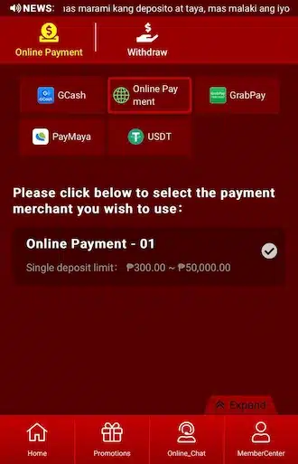 Step 1: Members please access the Deposit interface, then choose the deposit method via Online Payment.